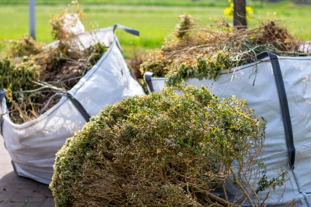 Best Furniture Removal Near Me  in White City, FL